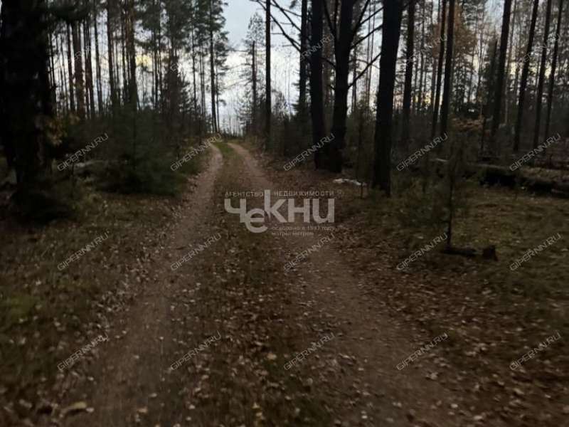 земельный участок 10,1 сотки Волжская деревня Кудрино