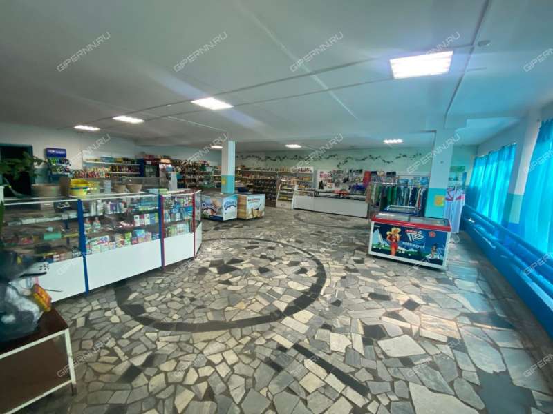 готовый бизнес магазин+кафе в городском округе Шахунья Нижегородской области