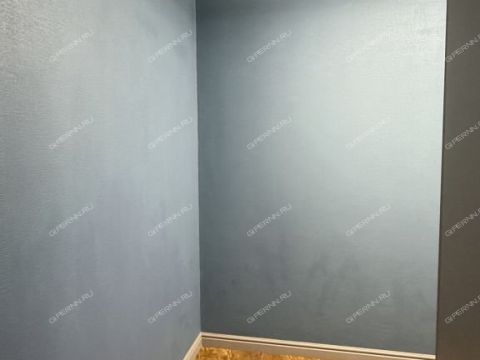 2-komnatnaya-ul-2-ya-oranzhereynaya-d-4a-k1 фото