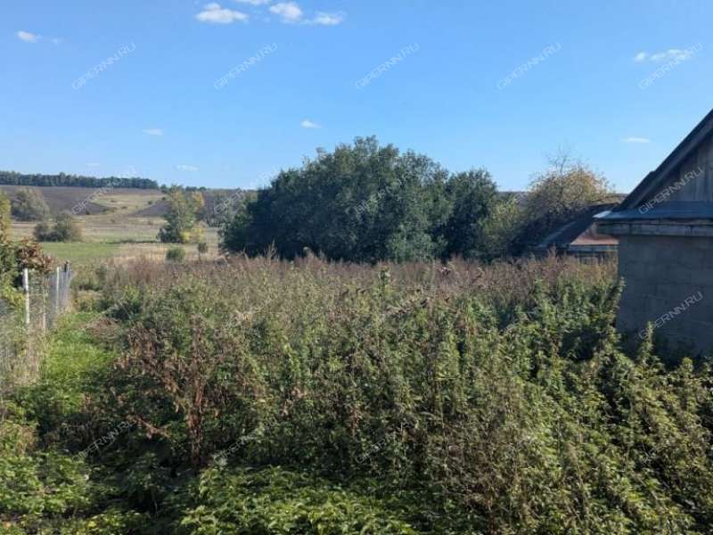 дом на Комсомольской улице село Большое Казариново