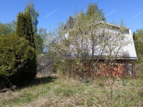 dacha-gorod-pavlovo-pavlovskiy-municipalnyy-okrug фото