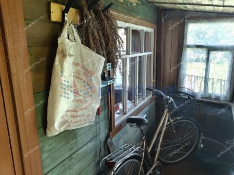 dacha-derevnya-zolotovo-gorodskoy-okrug-bor фото