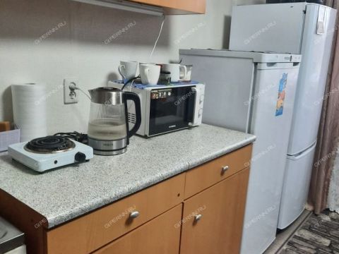 ul-yuliusa-fuchika-d-12 фото