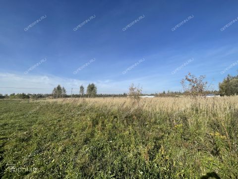 selo-bolshoe-mokroe-kstovskiy-rayon фото