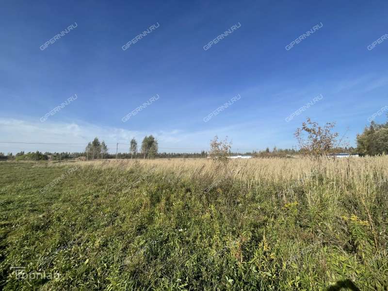 земельный участок под коммерческое использование в Кстовском районе Нижегородской области