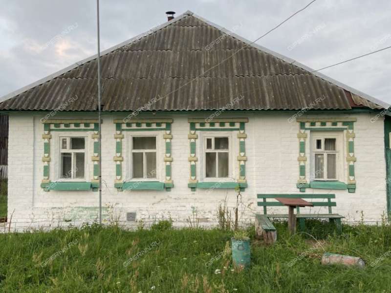 дом на Пушкина ул. деревня Жуковка (ППК сельсовет