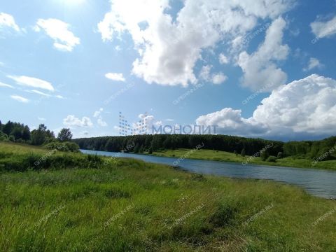 selo-efimevo-bogorodskiy-municipalnyy-okrug фото