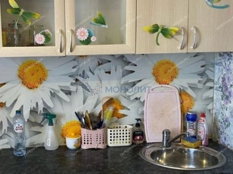 1-komnatnaya-gorod-balahna-balahninskiy-municipalnyy-okrug фото