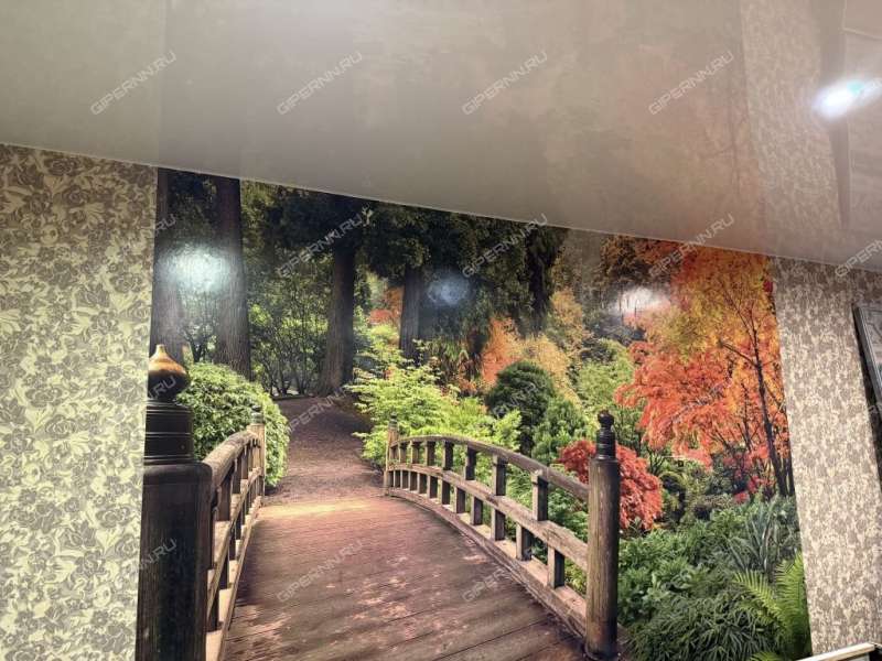 трёхкомнатная квартира на улице Дьяконова дом 24а