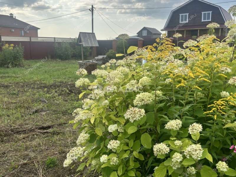 земельный участок 15 соток Сосновая улица деревня Высоково