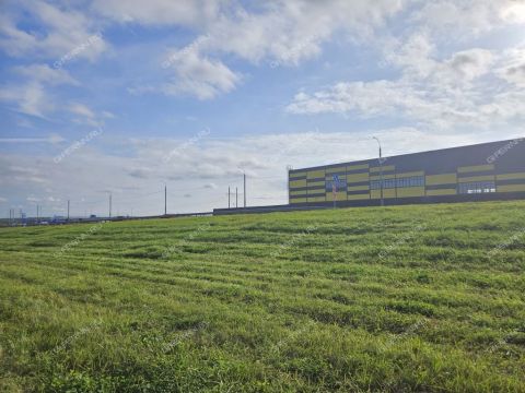 poselok-zhdanovskiy-kstovskiy-rayon фото