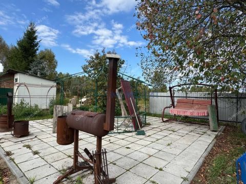 dom-derevnya-ilinskoe-gorodskoy-okrug-bor фото