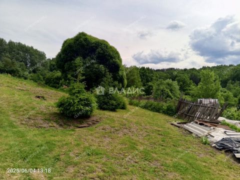 derevnya-shumilovo-bogorodskiy-municipalnyy-okrug фото