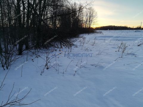 derevnya-burcevo-bogorodskiy-municipalnyy-okrug фото