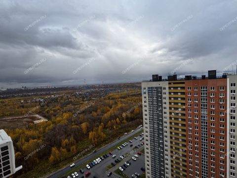 1-komnatnaya-derevnya-ankudinovka-kstovskiy-rayon фото