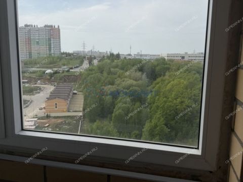 2-komnatnaya-derevnya-afonino-kstovskiy-rayon фото