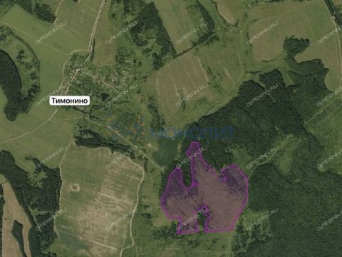 derevnya-timonino-bogorodskiy-municipalnyy-okrug фото