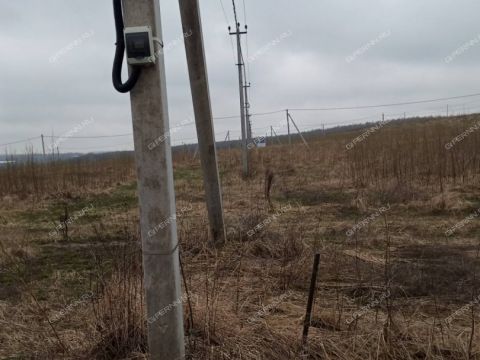 derevnya-nepecino-bogorodskiy-municipalnyy-okrug фото