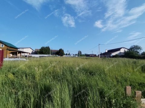 kottedzh-derevnya-prudy-bogorodskiy-municipalnyy-okrug фото