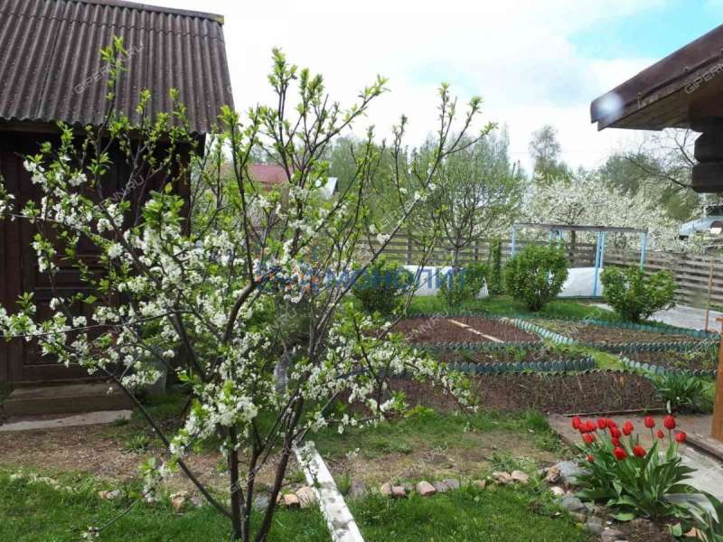 дом на - деревня Губцёво